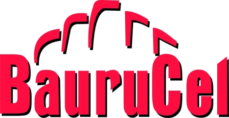 Baurucel 17.01.2025